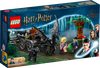 LEGO HARRY POTTER Testrale i kareta z Hogwartu™ 76400