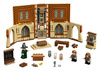 LEGO HARRY POTTER™  Chwile z Hogwartu: zajęcia z transfiguracji 76382