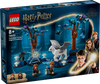 LEGO HARRY POTTER Zakazany Las: magiczne stworzenia 76432