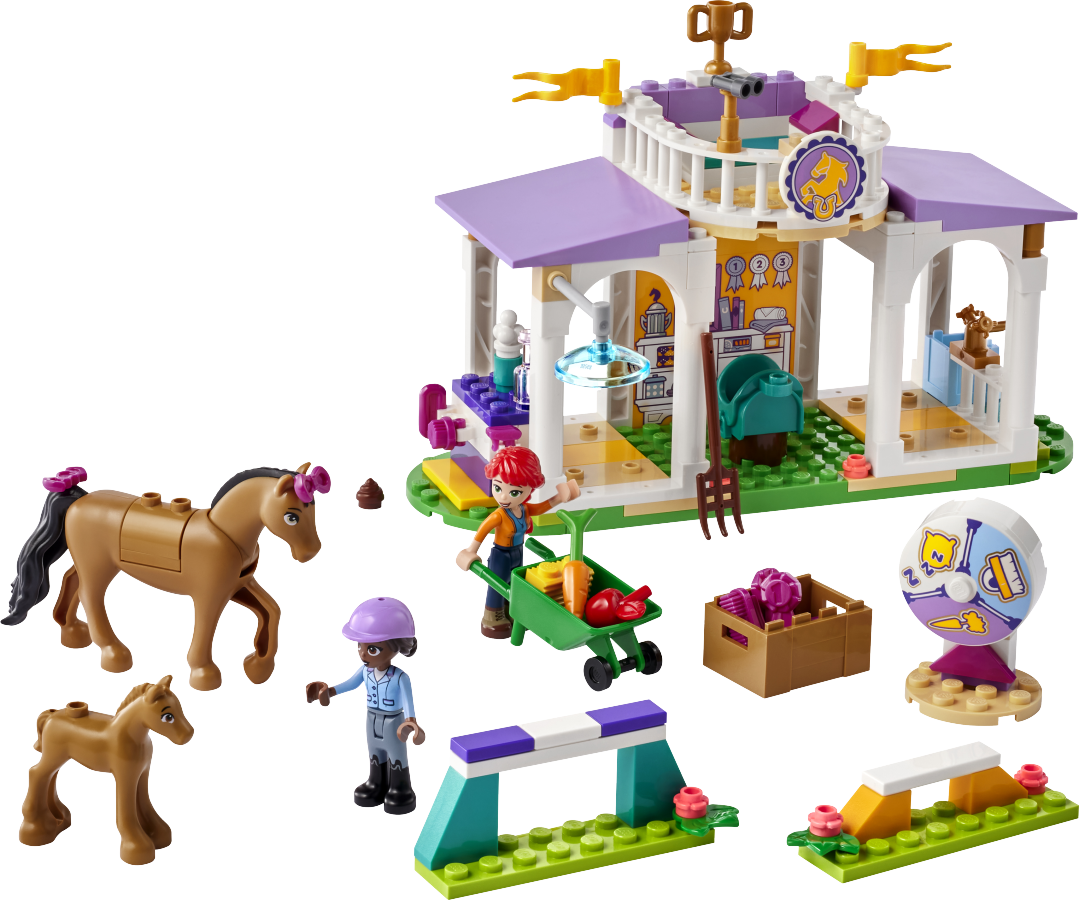 LEGO FRIENDS Szkolenie koni 41746