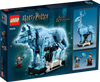 LEGO HARRY POTTER Expecto Patronum 76414