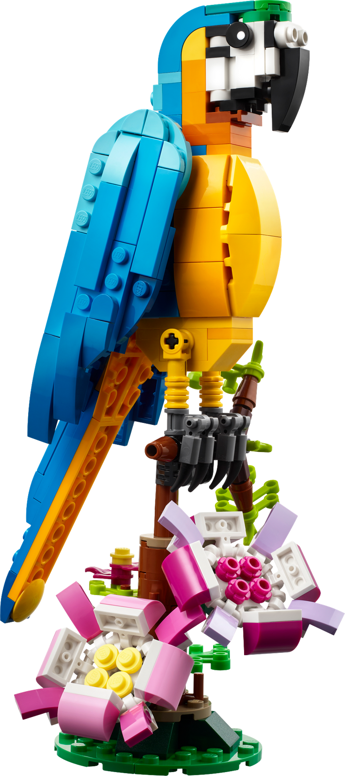 LEGO CREATOR Egzotyczna papuga 31136
