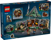 LEGO HARRY POTTER Chatka Hagrida: niespodziewana wizyta 76428