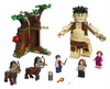 LEGO HARRY POTTER™   Zakazany Las: spotkanie Umbridge 75967