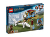 LEGO® HARRY POTTER™ 75958 POWÓZ Z BEAUXBATONS: PRZYJAZD DO HOGWARTU™